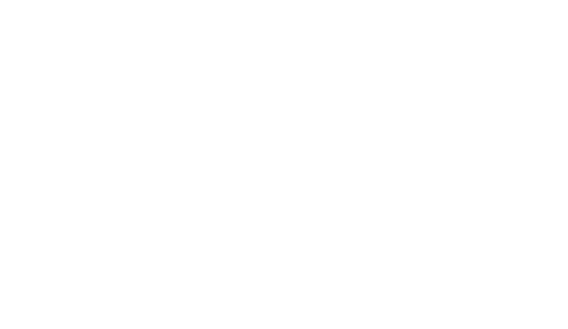 Smartz Matz